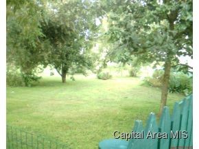 321 East Myrtle Street Virginia, IL 62691 - Photo 7 of 9 Gallery Image 7