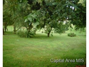 321 East Myrtle Street Virginia, IL 62691 - Photo 9 of 9 Gallery Image 9