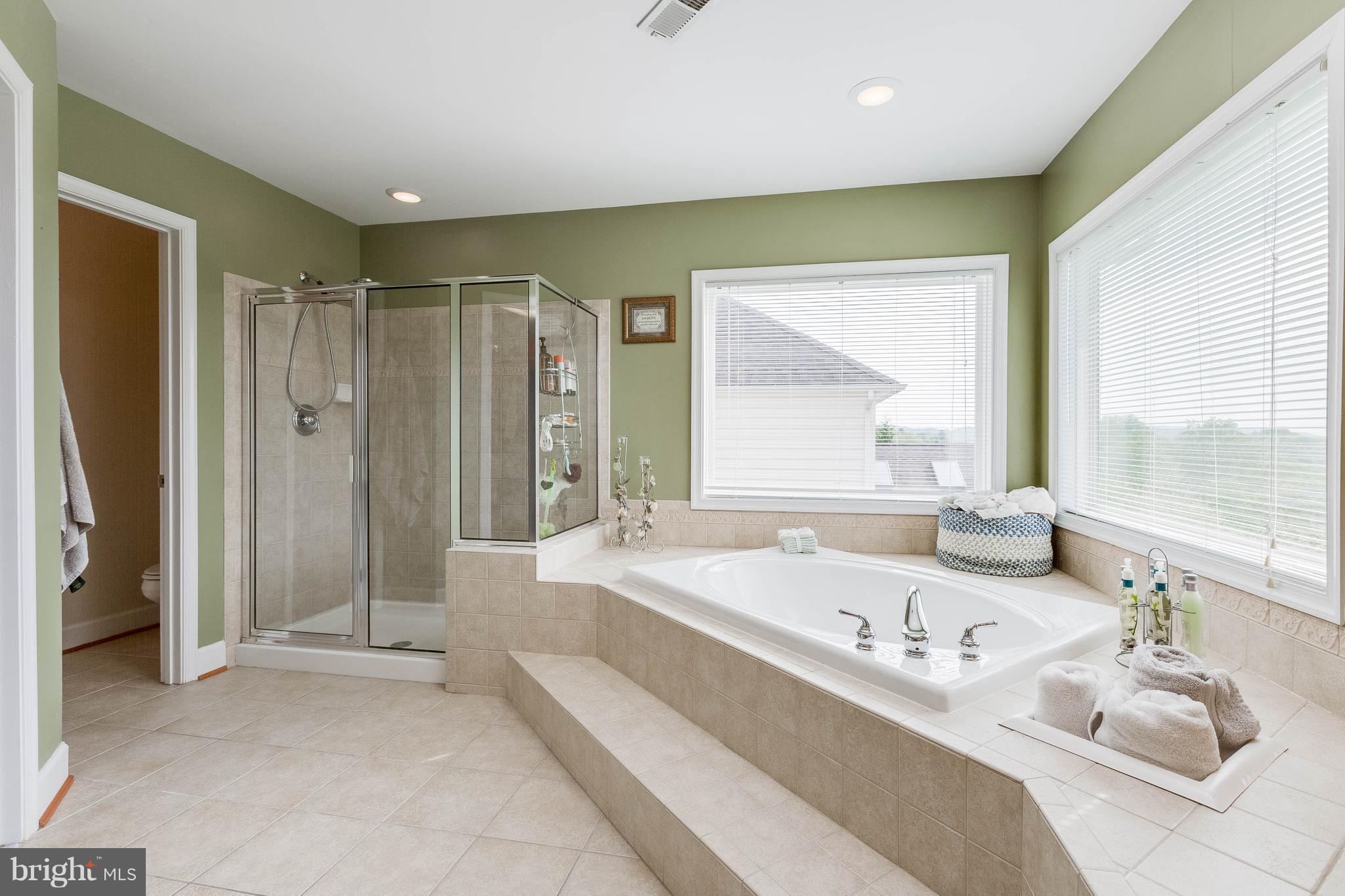 11020 Country Club Road New Market, MD 21774 - Photo 19 of 30 Large soaking tub and separate shower