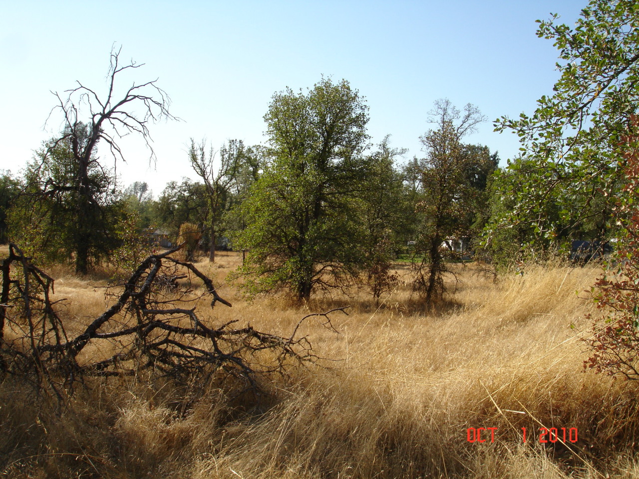 Witch Way/country Road Redding, CA 96003 - Photo 7 of 8 View from Witch Way