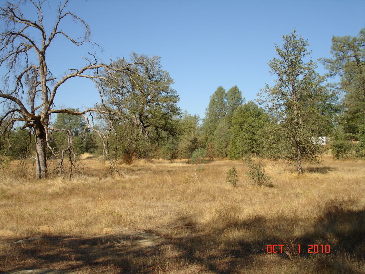 Witch Way/country Road Redding, CA 96003 - Photo 8 of 8 View from Country Rd