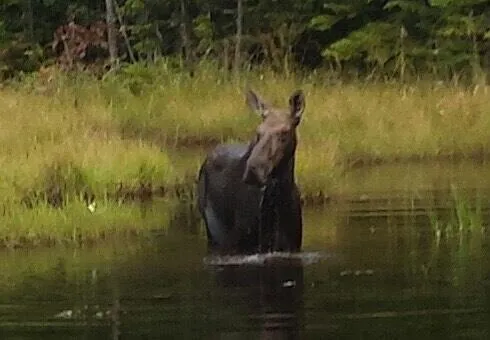 $349,000 | 143 Paradise Lane, Rockwood, ME 04478