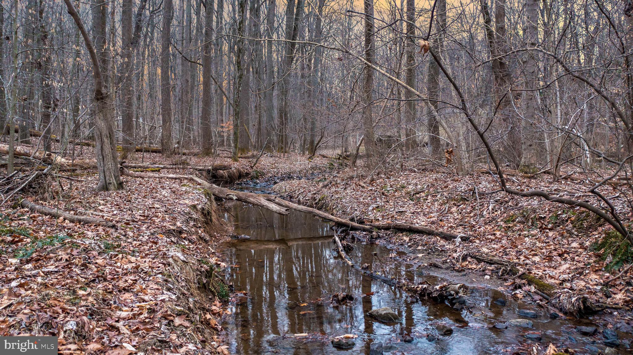 14420 Katie Road Phoenix, MD 21131 - Photo 17 of 41