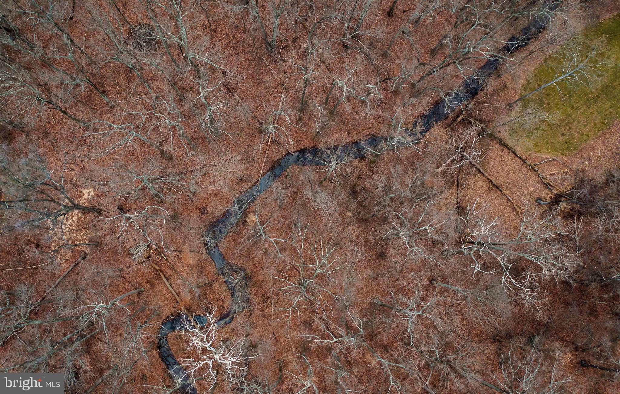 14420 Katie Road Phoenix, MD 21131 - Photo 6 of 41