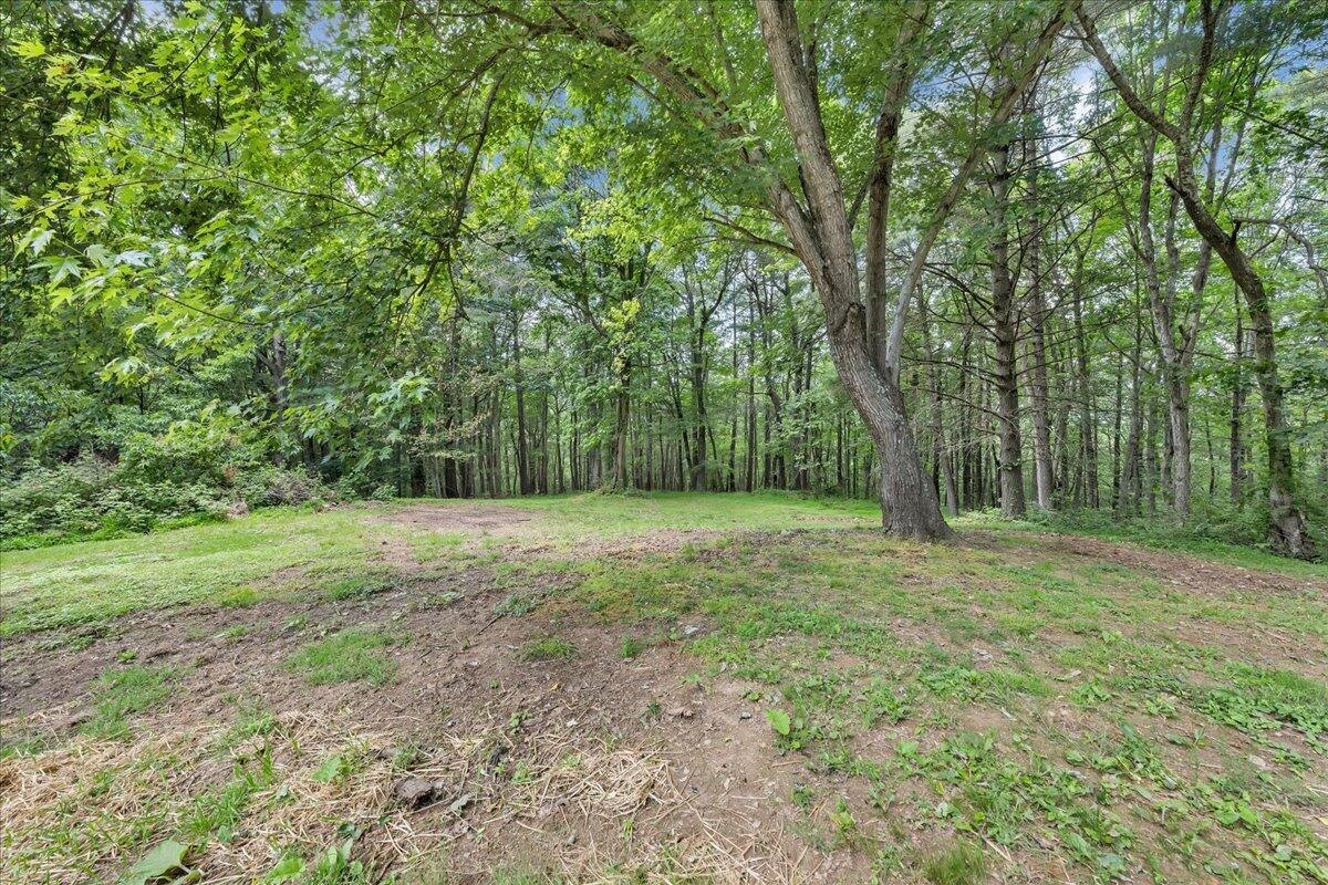 1902 Webbs Mill Road North Floyd, VA 24091 - Photo 9 of 30 a view of outdoor space with trees all around