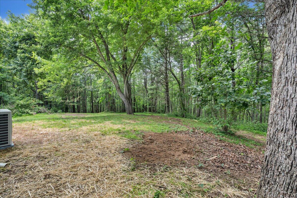 1902 Webbs Mill Road North Floyd, VA 24091 - Photo 10 of 30 a view of a yard with a tree