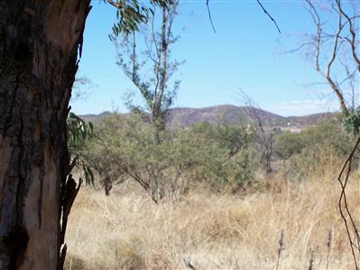 36751 South Arivaca Ranch Road Arivaca, AZ 85601 - Photo 2 of 4