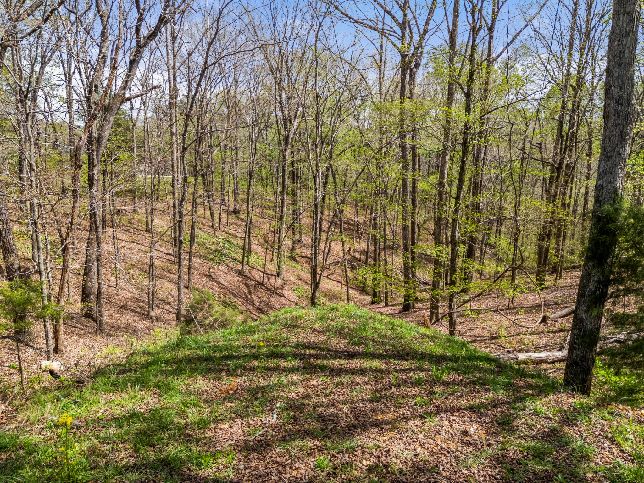 2210 Garners Creek Road Dickson, TN 37055 - Photo 54 of 67 a backyard of a house with lots of green space