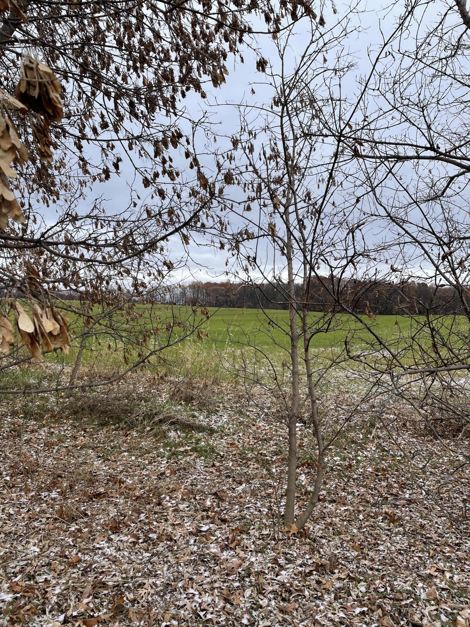 V/l West County Line Road Greenville, MI 48838 - Photo 1 of 7 IMG_2456