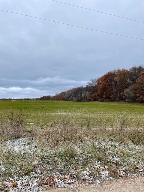 V/l West County Line Road Greenville, MI 48838 - Photo 2 of 7 IMG_2460 (1)