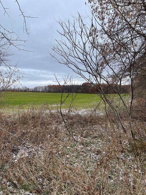 V/l West County Line Road Greenville, MI 48838 - Photo 5 of 7 IMG_2454