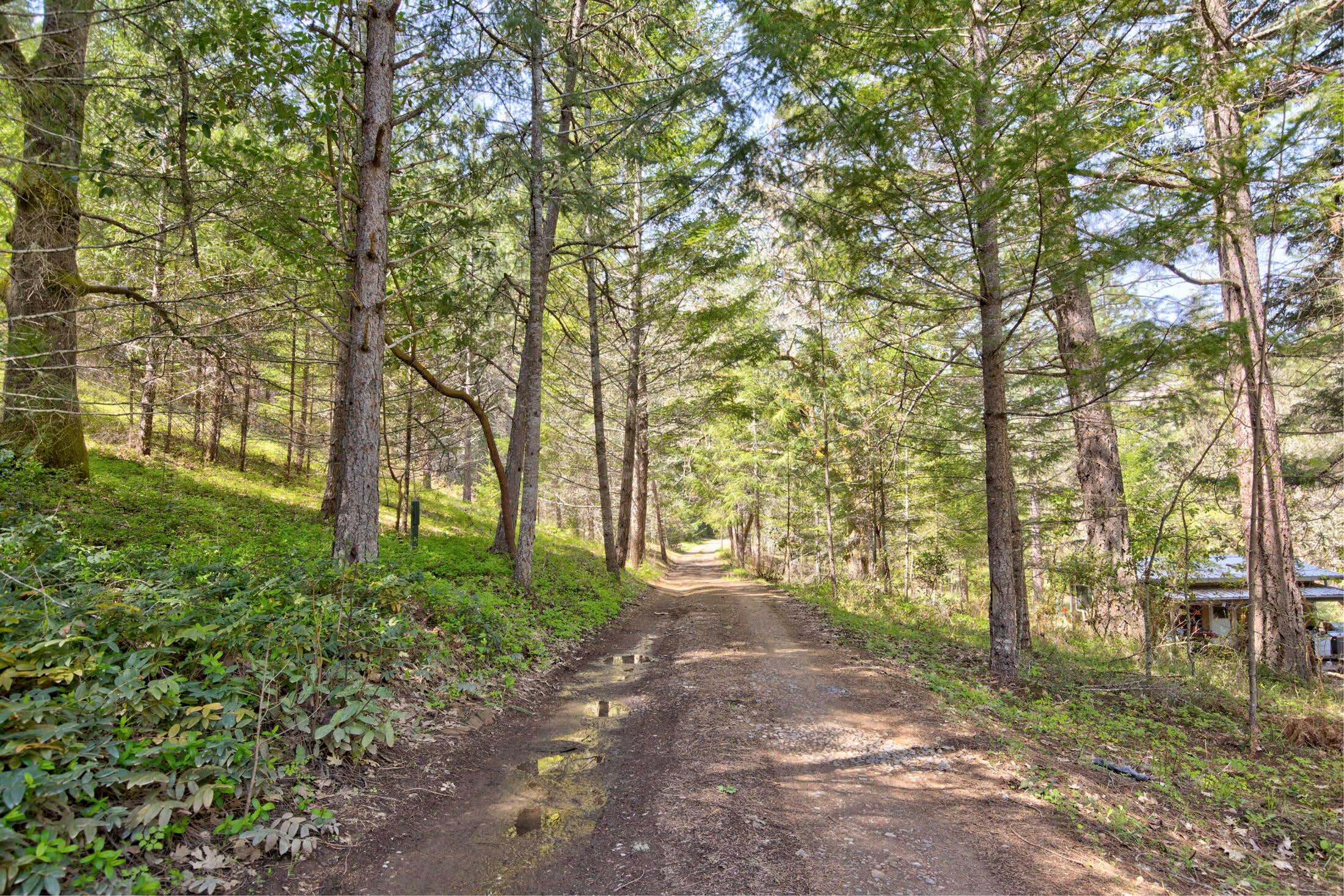 476 Elliott Creek Road Wilderville, OR 97543 - Photo 21 of 36 0R1A0679_80_81_82_83