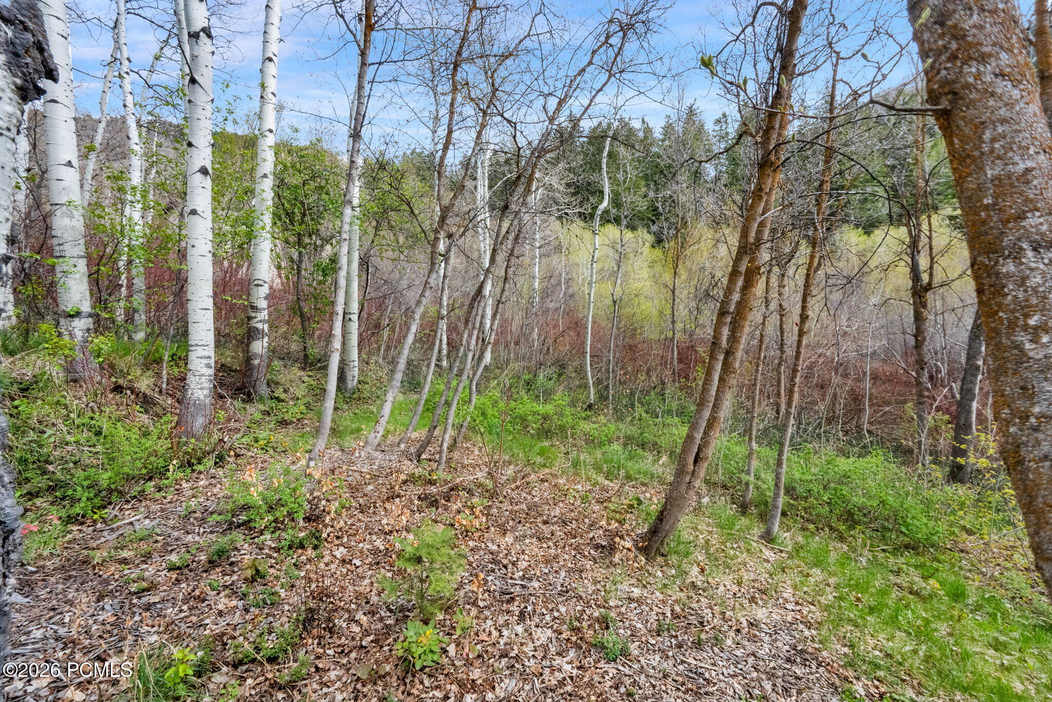 7188 East Parker Road Salt Lake City, UT 84109 - Photo 37 of 49