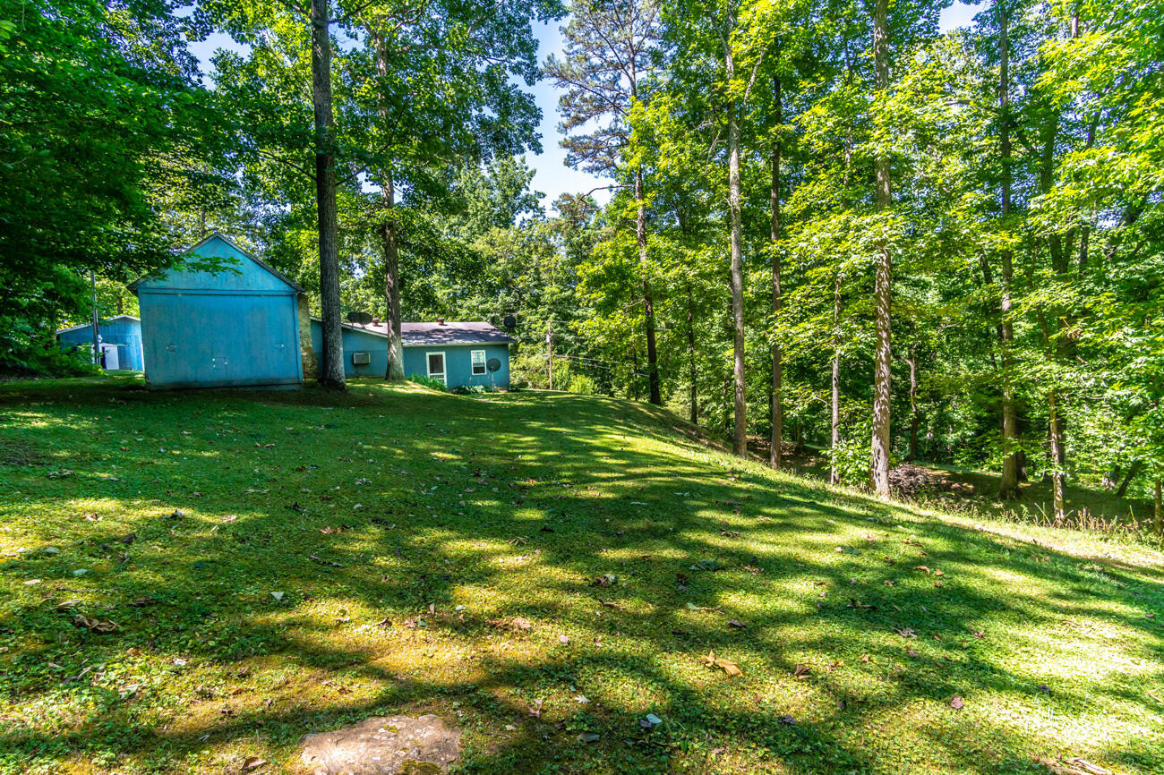 11129 Highway 1036 Road Irvine, KY 40336 - Photo 23 of 45 120