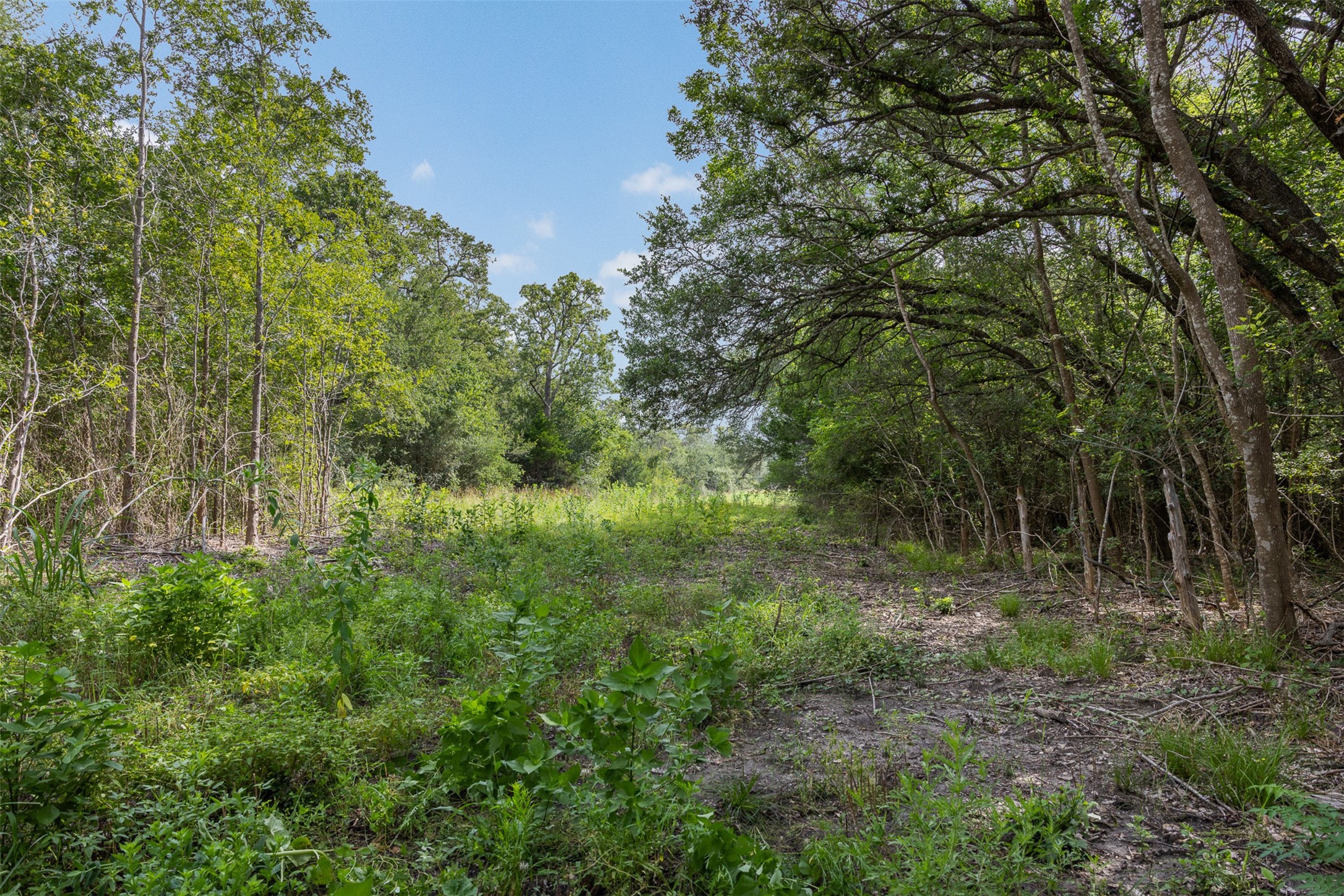 0 Schuster Road Round Top, TX 78954 - Photo 13 of 26