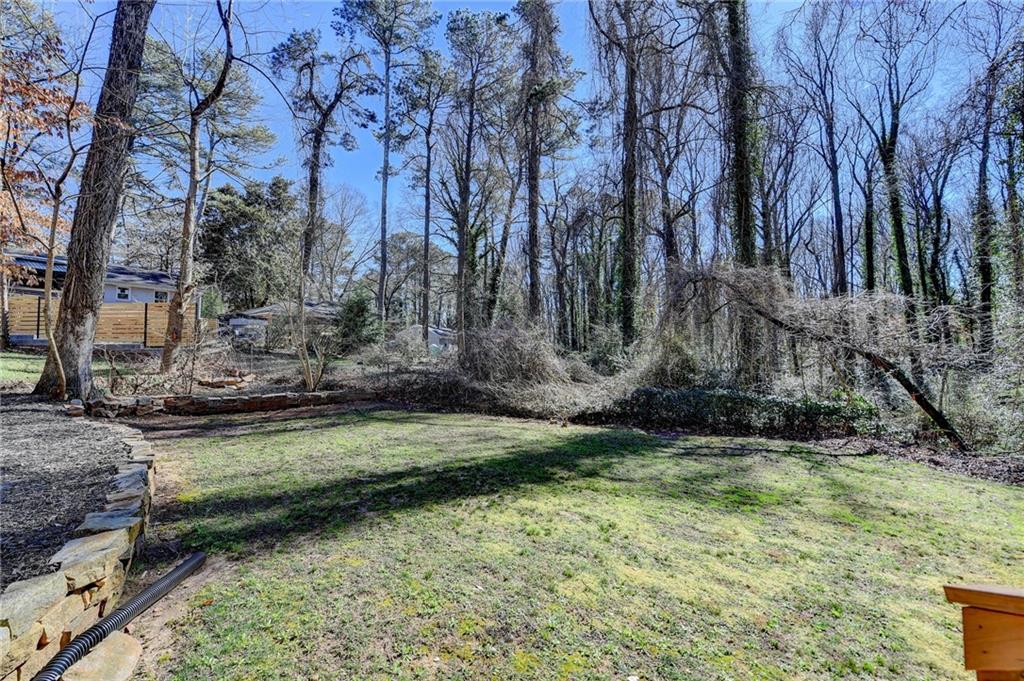 2945 Monterey Drive Decatur, GA 30032 - Photo 90 of 93 a view of a backyard with large trees