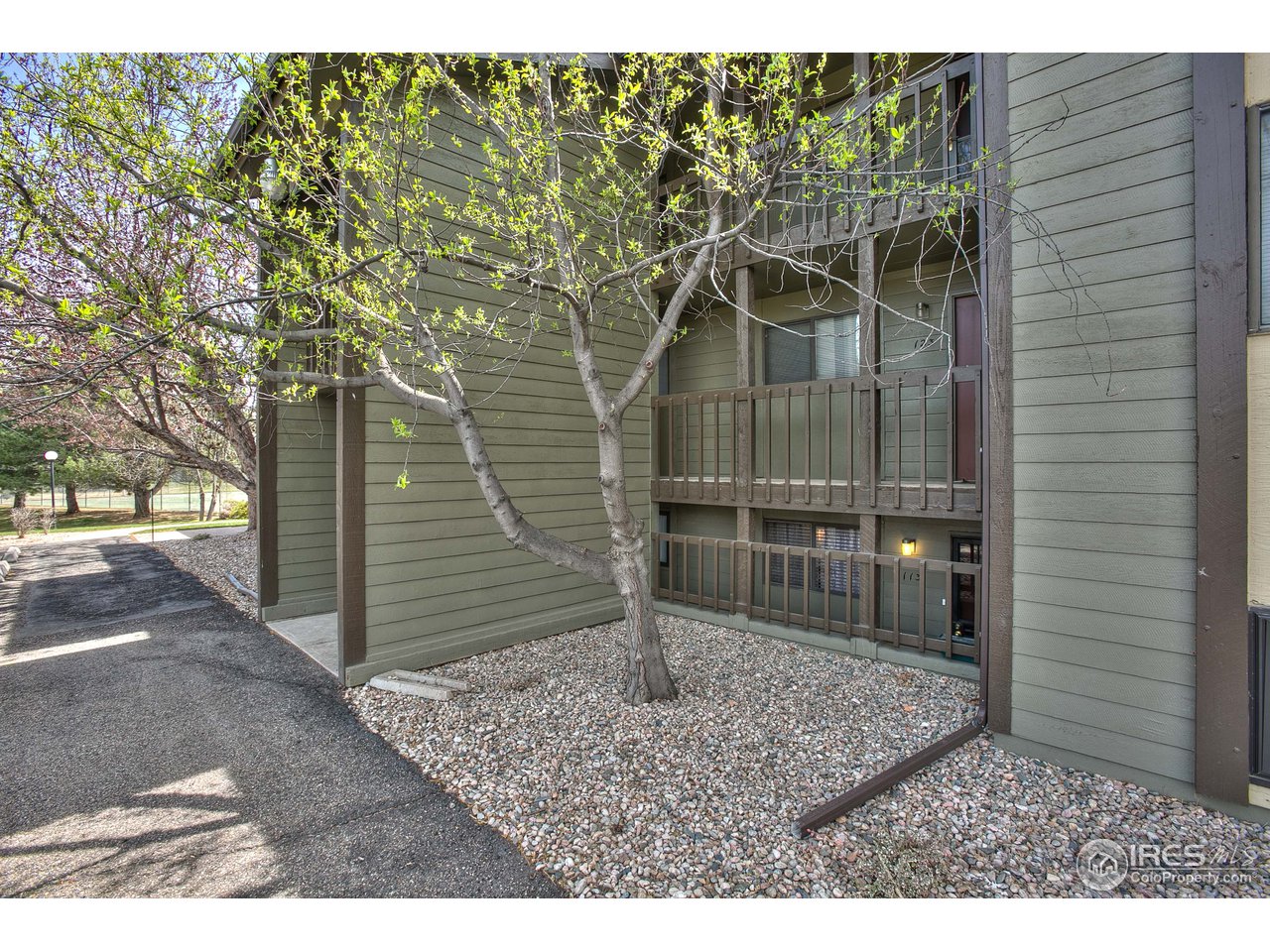 925 Columbia Road, Unit 113 Fort Collins, CO 80525 - Photo 1 of 20 925 Columbia Road