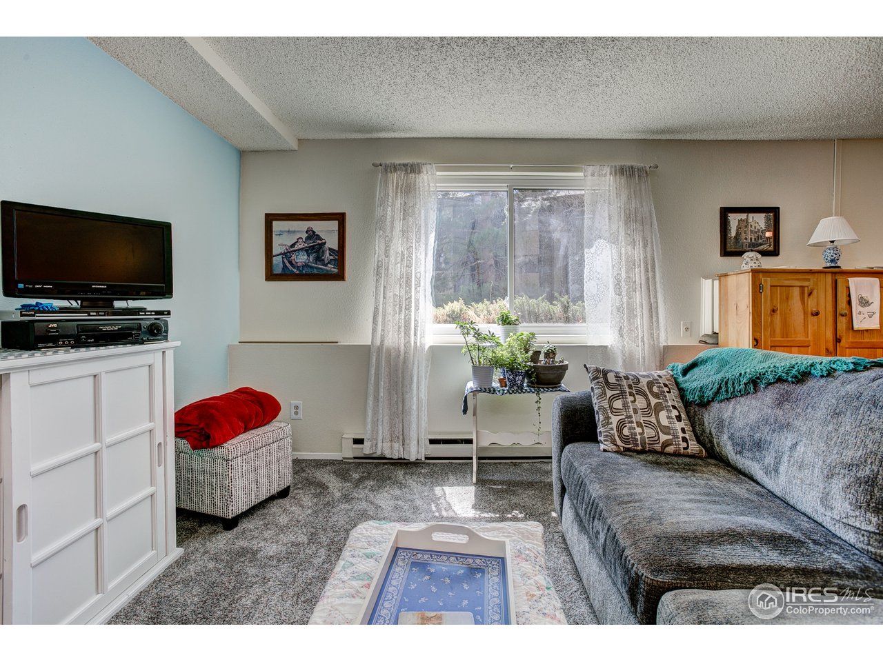 925 Columbia Road, Unit 113 Fort Collins, CO 80525 - Photo 13 of 20 Light and bright living room