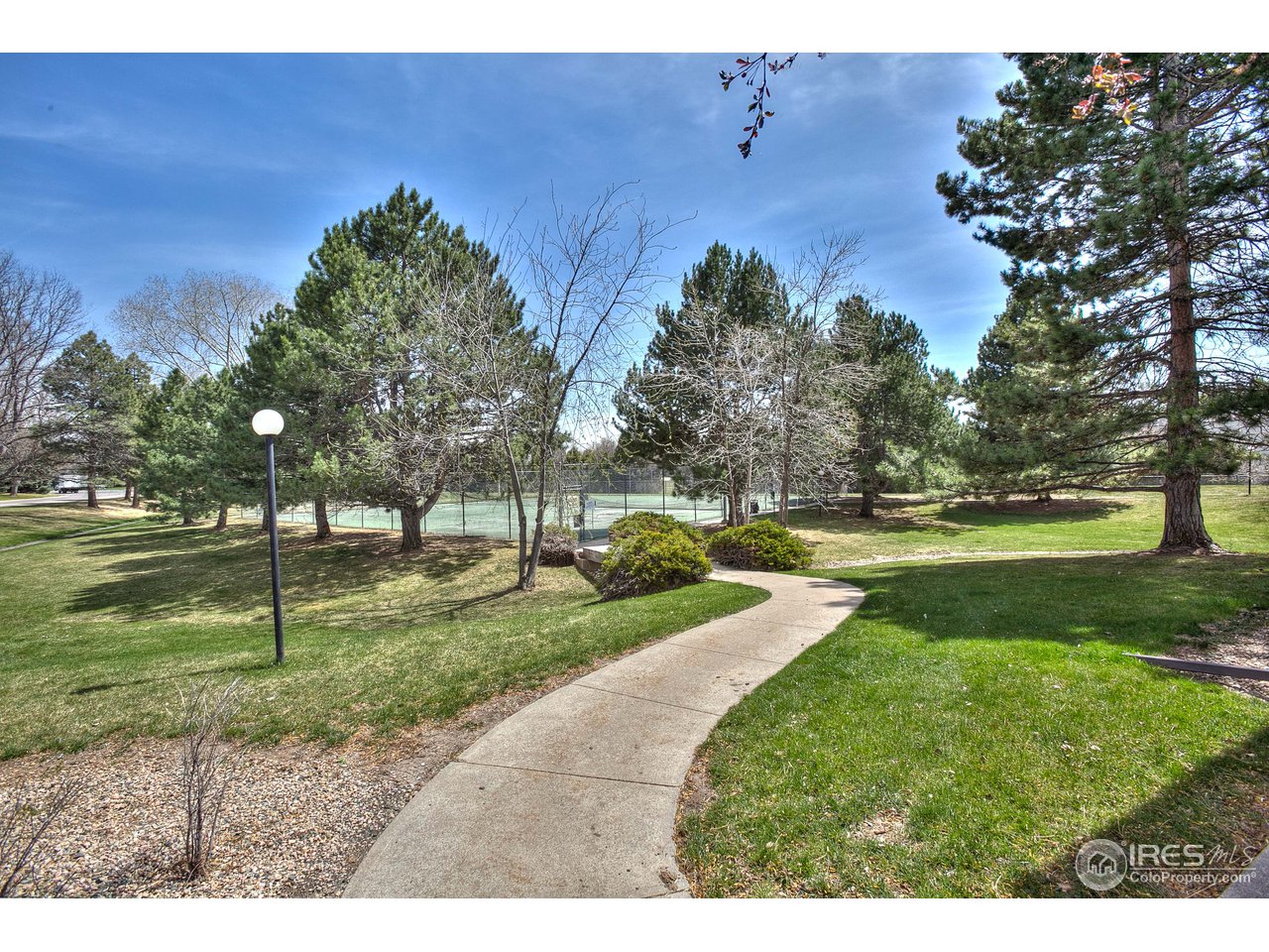 925 Columbia Road, Unit 113 Fort Collins, CO 80525 - Photo 4 of 20 Tennis Court