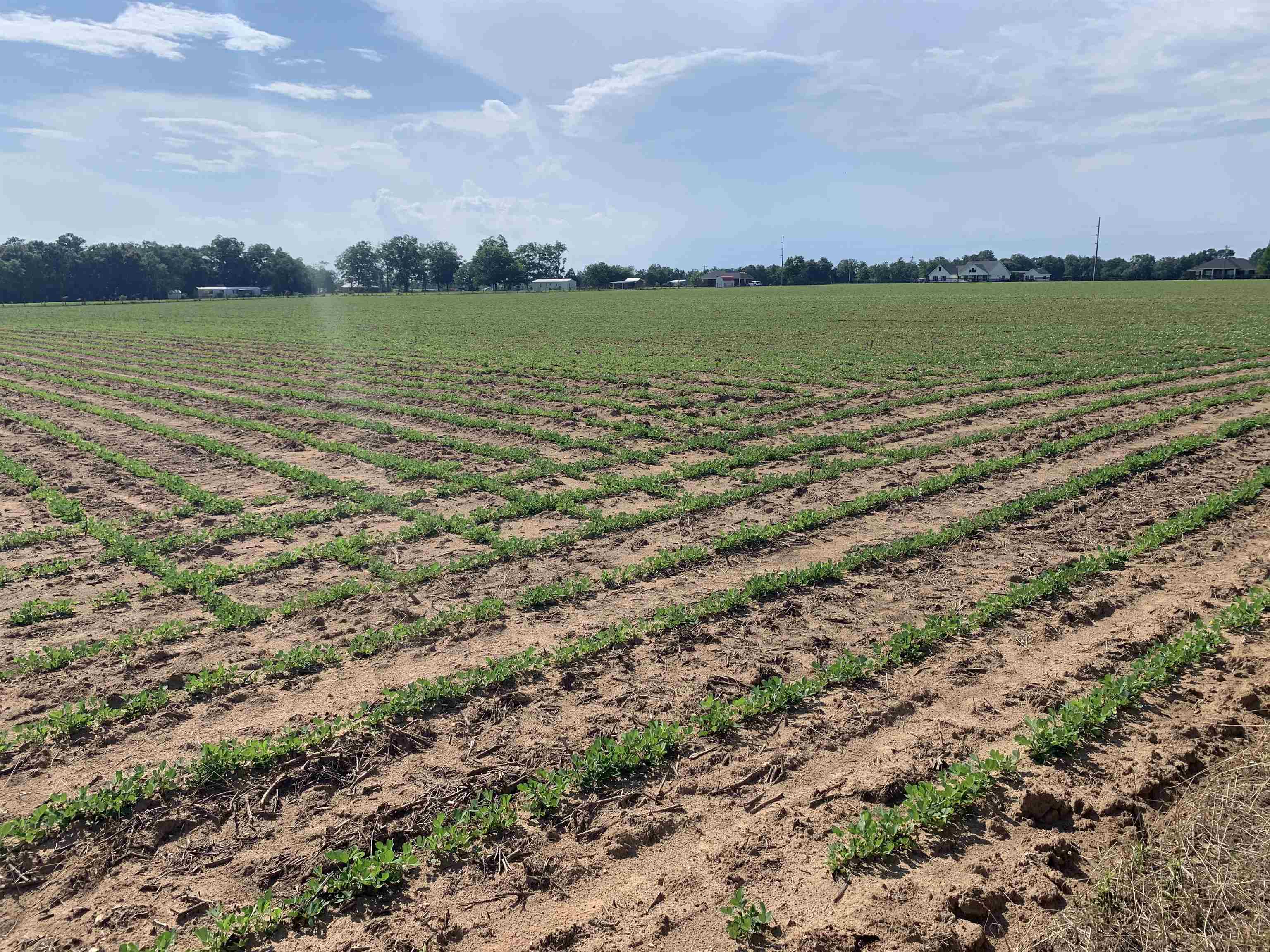 Lot A West H Thompson Farm Road Loxley, AL 36551 - Photo 10 of 10