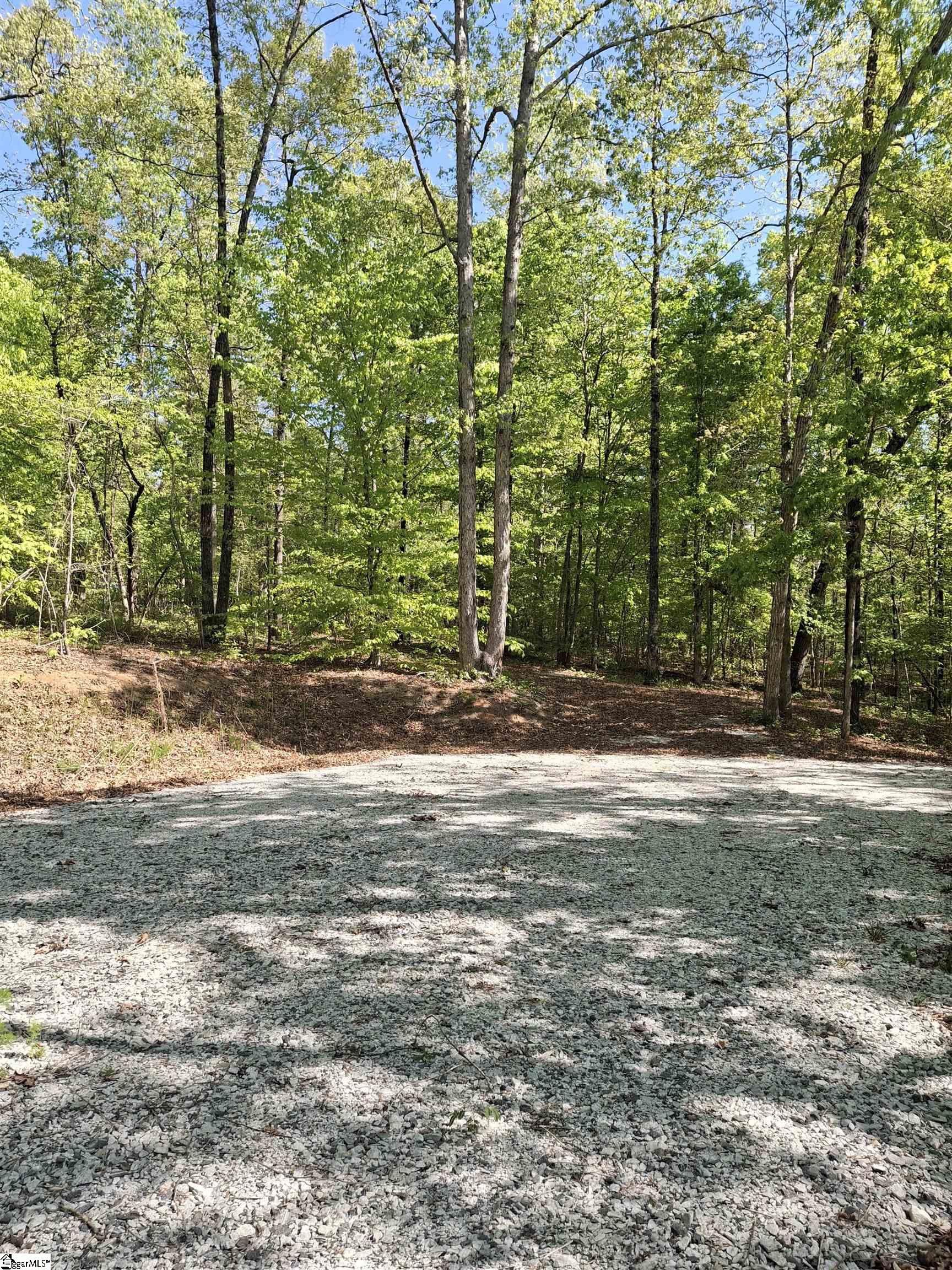 523 Flat Shoals Road Walhalla, SC 29691 - Photo 5 of 13