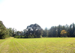 Lot 4 Redds Branch Road Aiken, SC 29801 - Photo 1 of 1