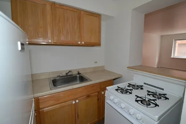 $1,295 | 1040 West Hollywood Avenue, Unit 217, Chicago, IL 60660