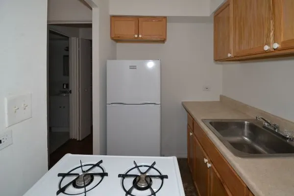 $1,295 | 1040 West Hollywood Avenue, Unit 217, Chicago, IL 60660