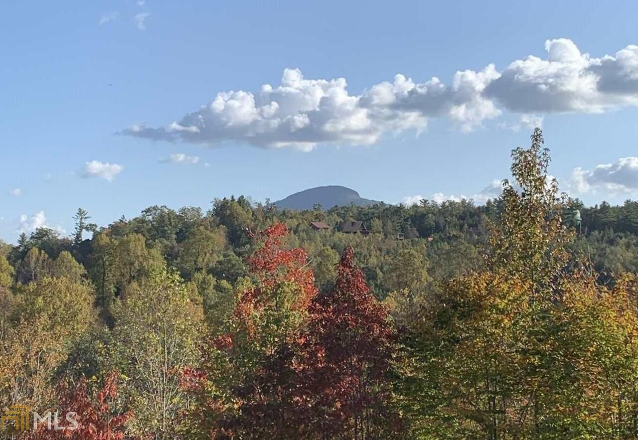 a view of a bunch of trees in the background