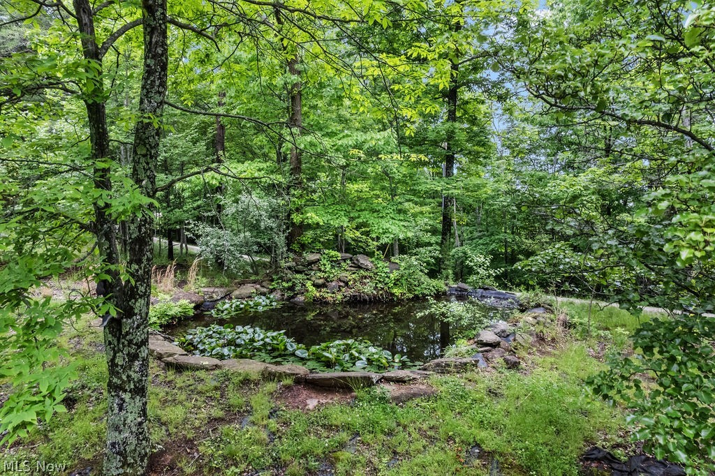 3720 Chesterville Road Mineral Wells, WV 26150 - Photo 5 of 46 4ft deep pond