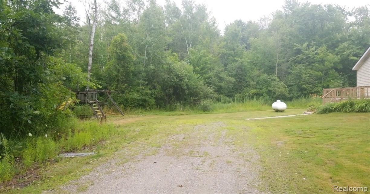 7380 Cribbins Road Jeddo, MI 48032 - Photo 22 of 24 TimePhoto_20180721_171420.jpg