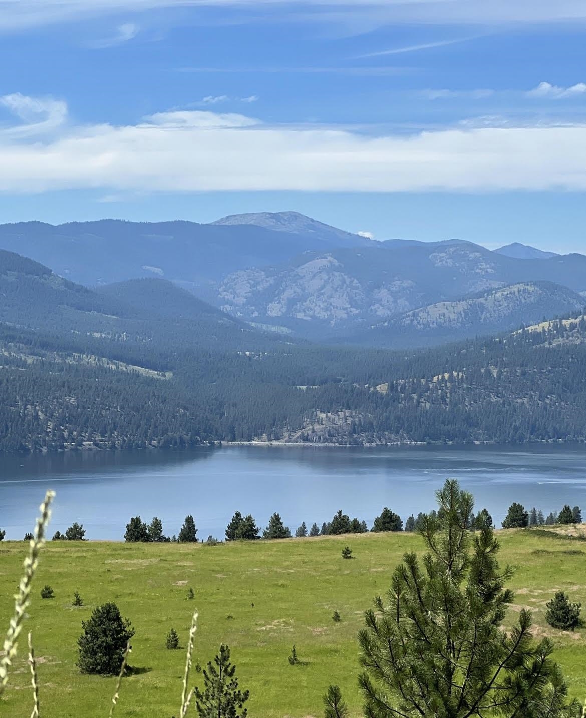 2069 South Johnson Road Rice, WA 99167 - Photo 5 of 14