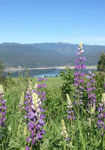 $225,000 | 2069 South Johnson Road, Rice, WA 99167