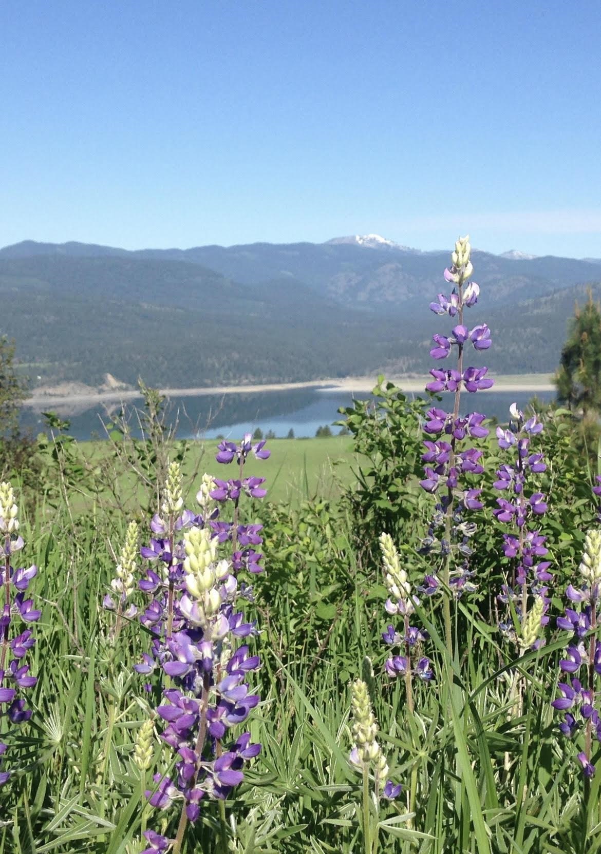 2069 South Johnson Road Rice, WA 99167 - Photo 10 of 14