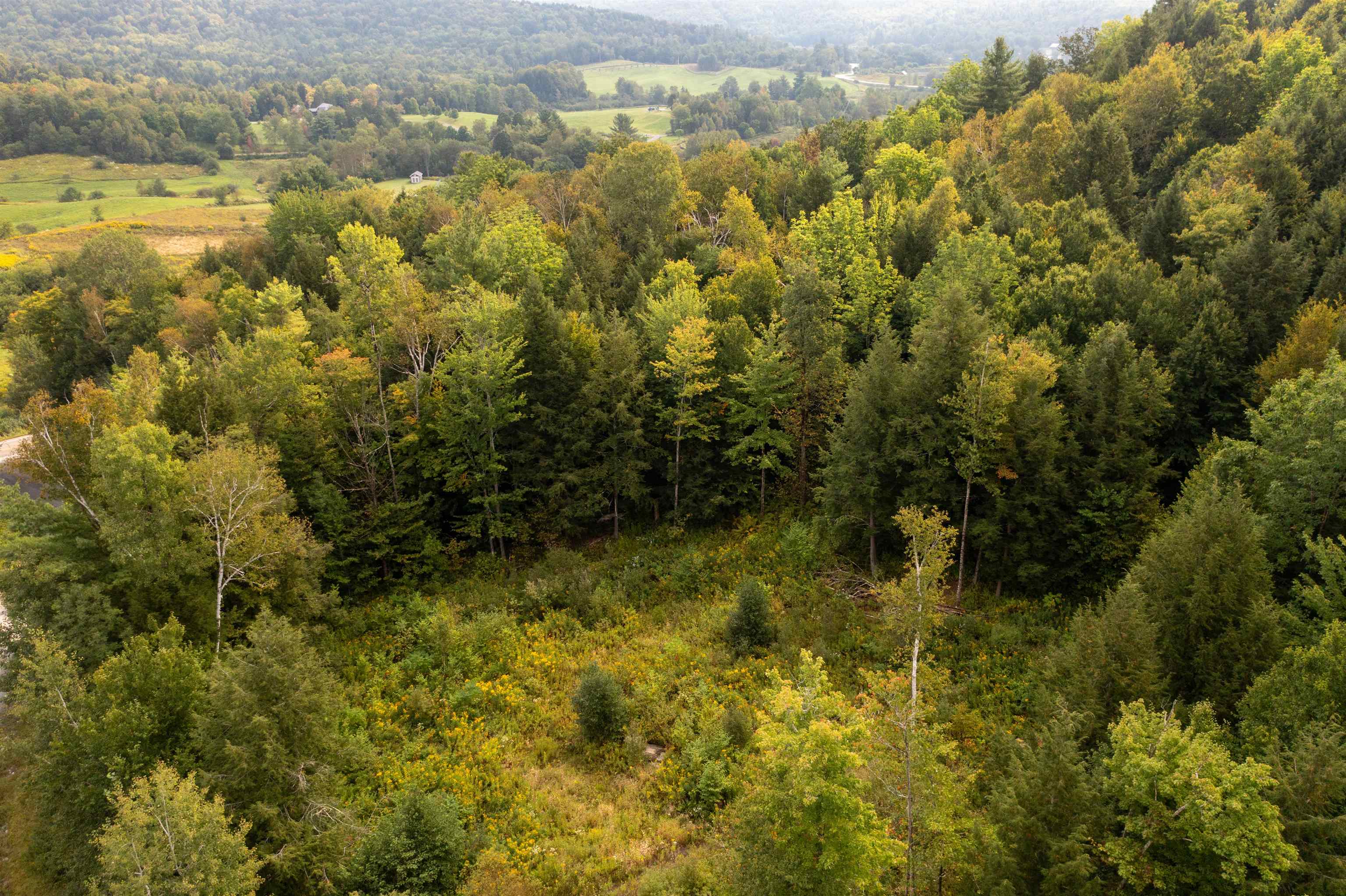 89 Craig Lane Cambridge, VT 05464 - Photo 7 of 19