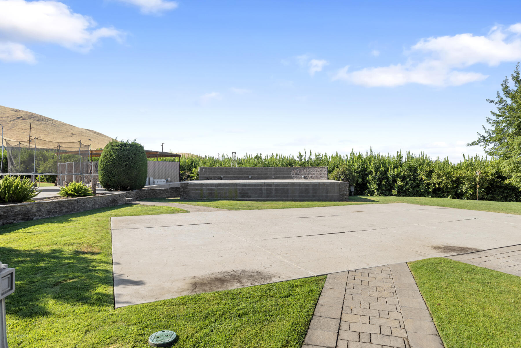 21031 Road 256 Strathmore, CA 93267 - Photo 45 of 55 55 - Back of Property - Stage