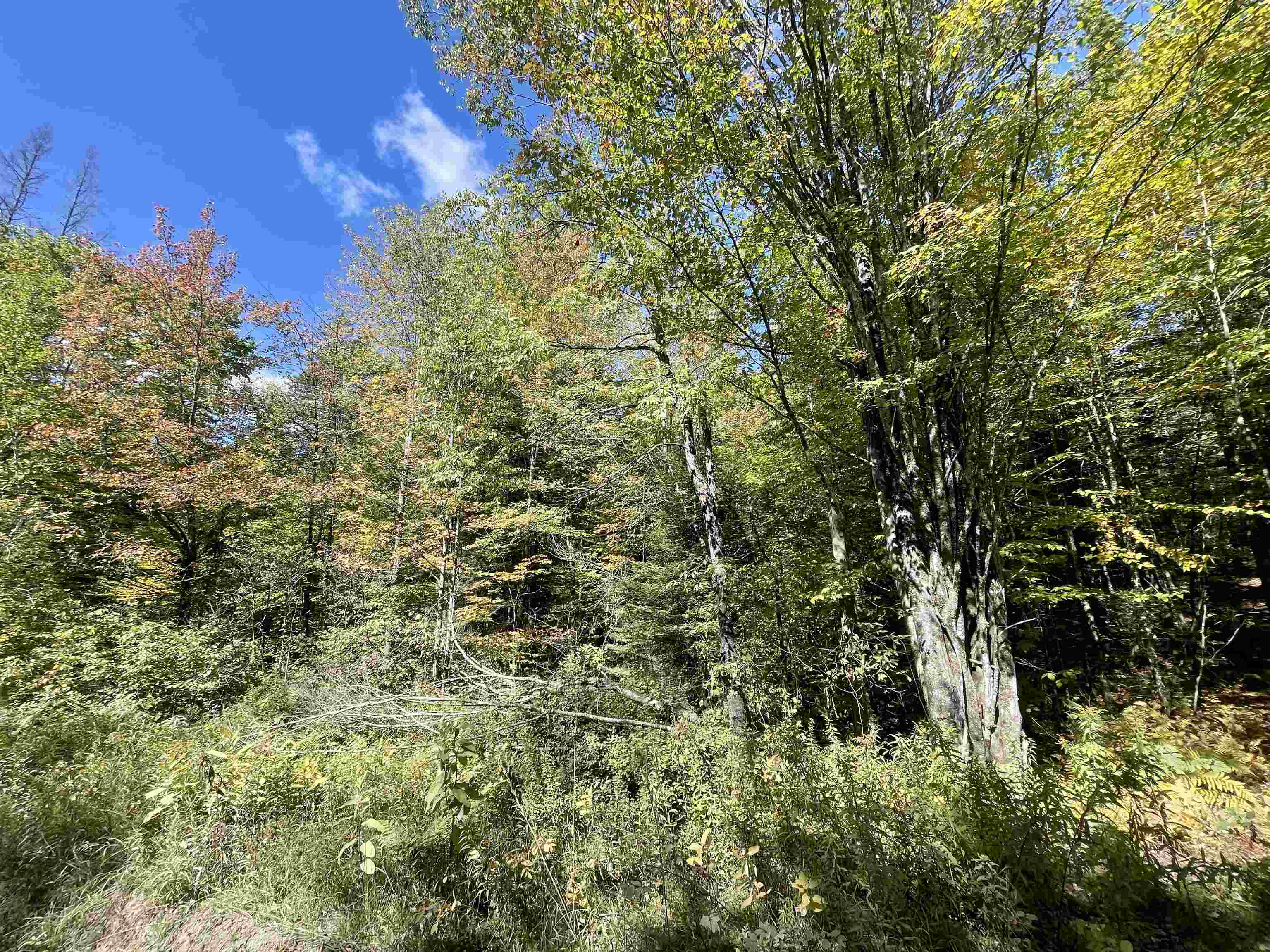 0 Marshall Newland Road East Burke, VT 05832 - Photo 17 of 29