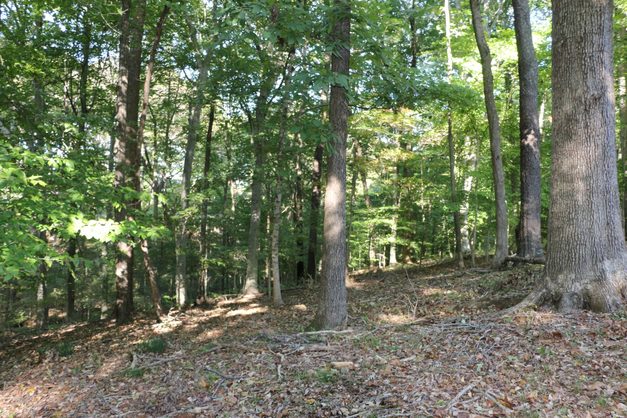 502 Bryan Road Clarksville, TN 37043 - Photo 28 of 28