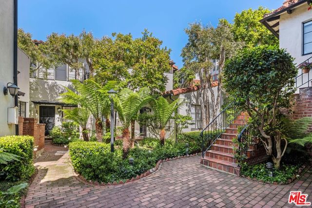 a view of a garden with plants