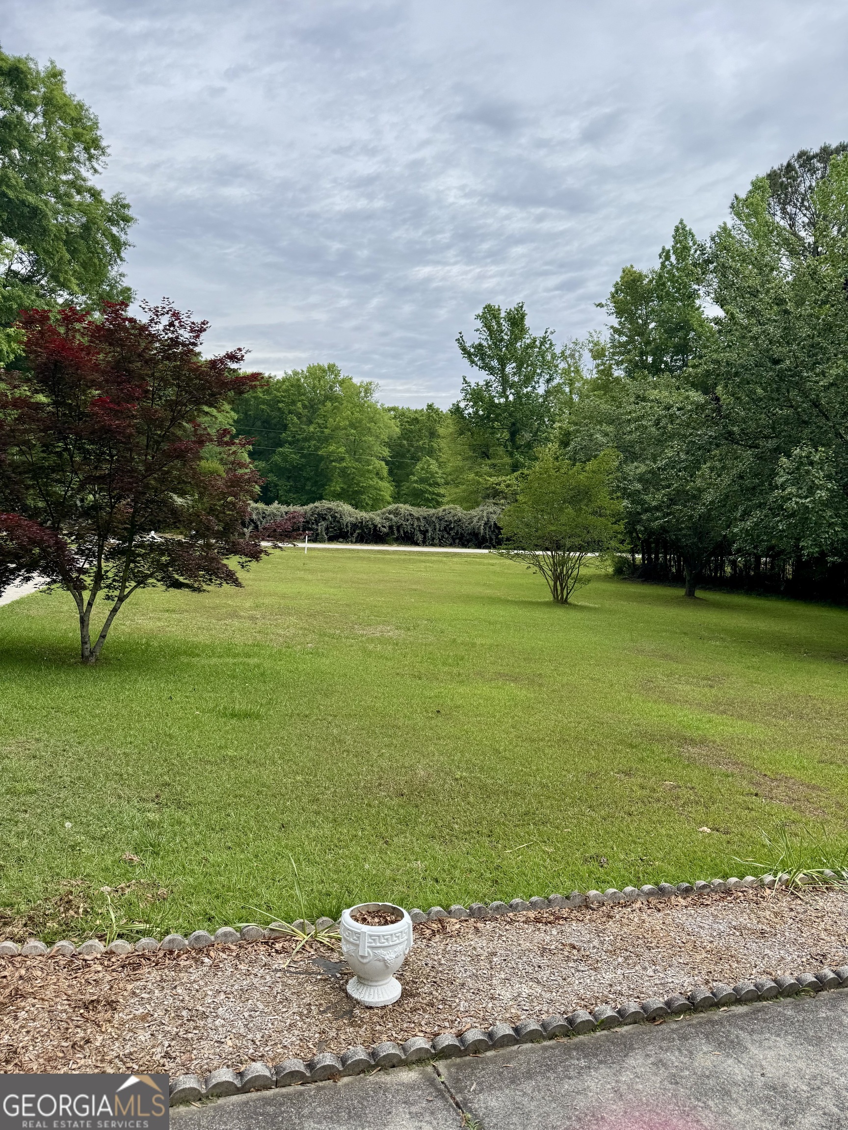 423 Woods Road Brooks, GA 30205 - Photo 3 of 48