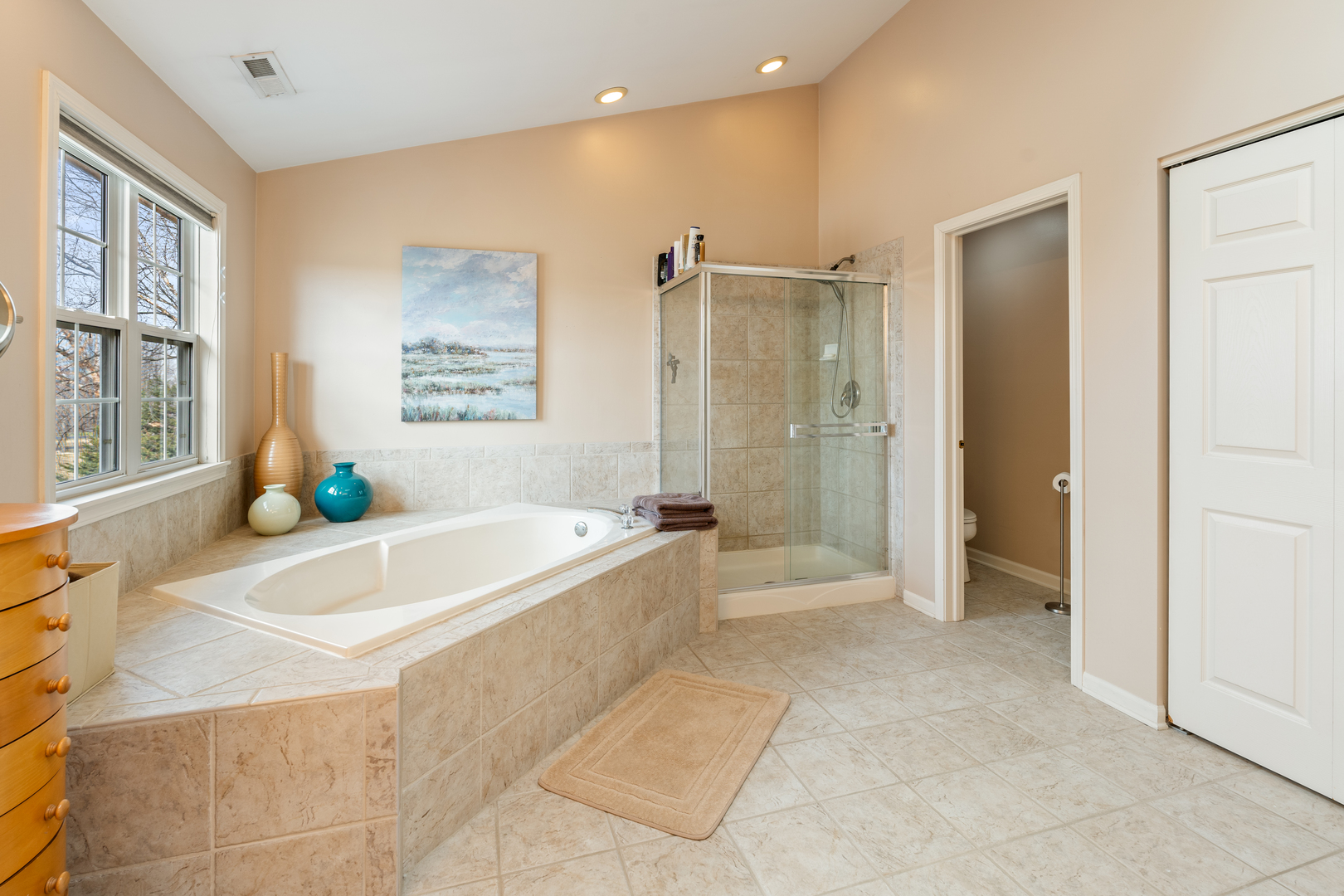 809 Magnuson Court Barrington, IL 60010 - Photo 22 of 33 a spacious bathroom with a tub shower and windows