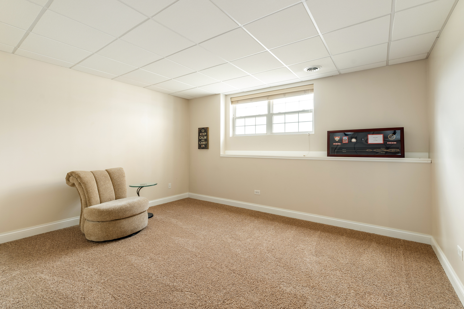 809 Magnuson Court Barrington, IL 60010 - Photo 27 of 33 a living room with furniture and a window