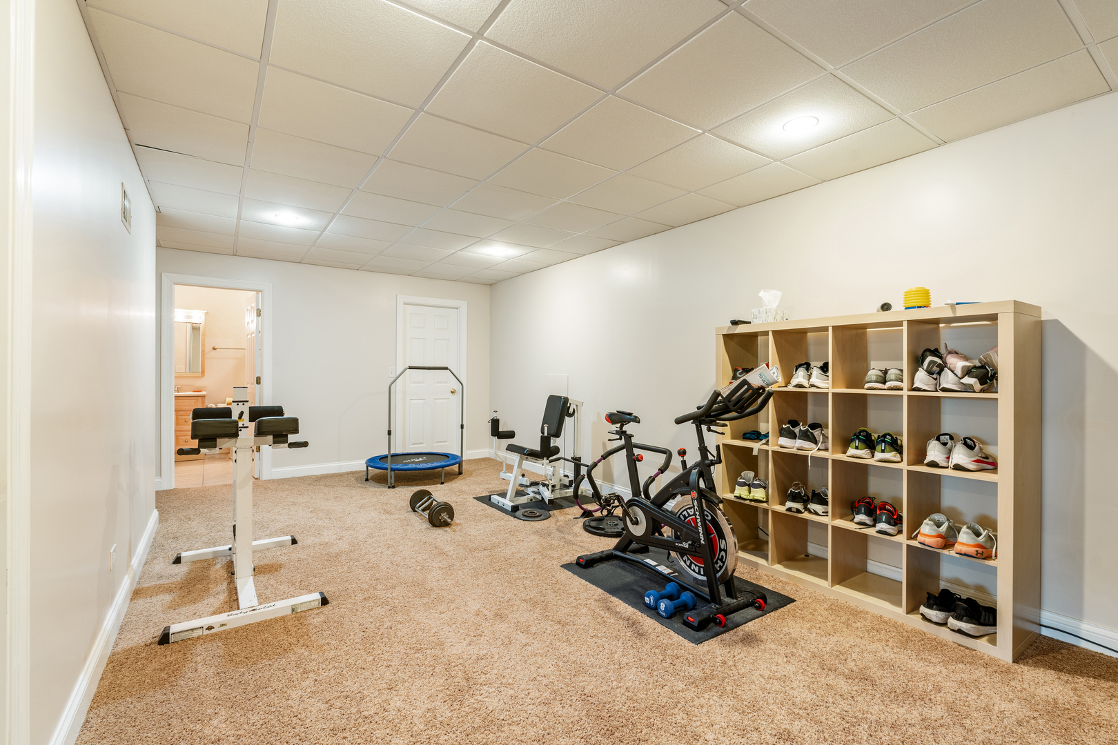 809 Magnuson Court Barrington, IL 60010 - Photo 29 of 33 a view of a room with gym equipment