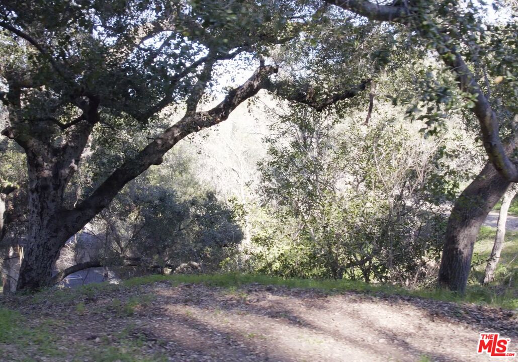 21050 Winfield Road Topanga, CA 90290 - Photo 1 of 12