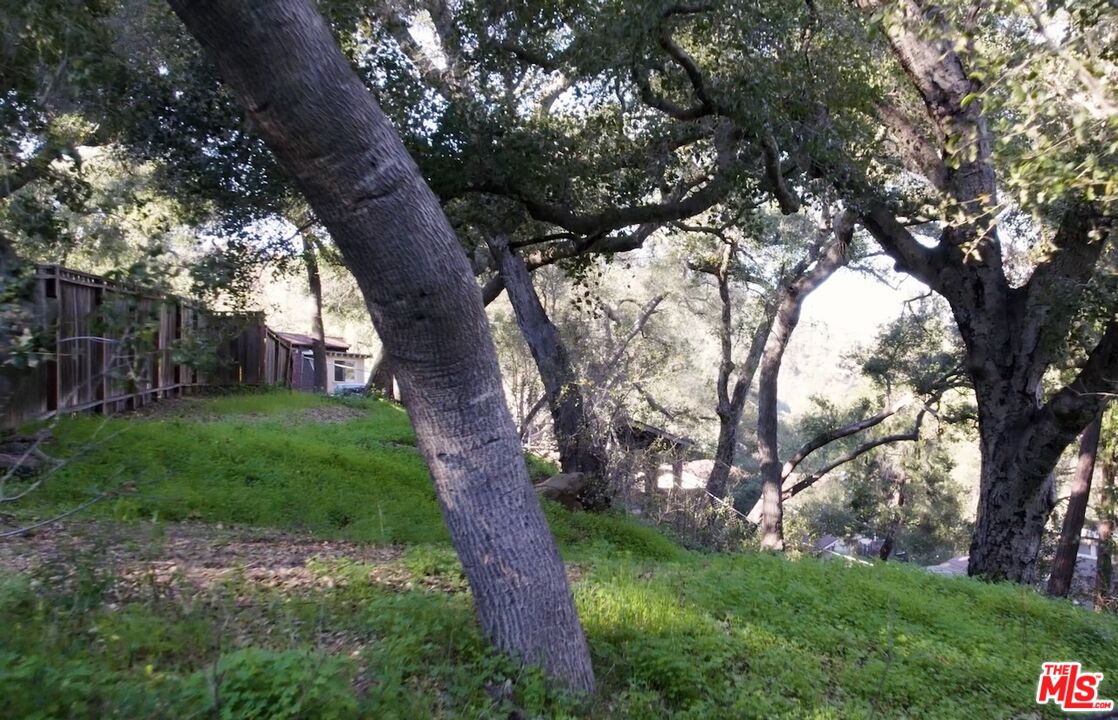 21050 Winfield Road Topanga, CA 90290 - Photo 10 of 12