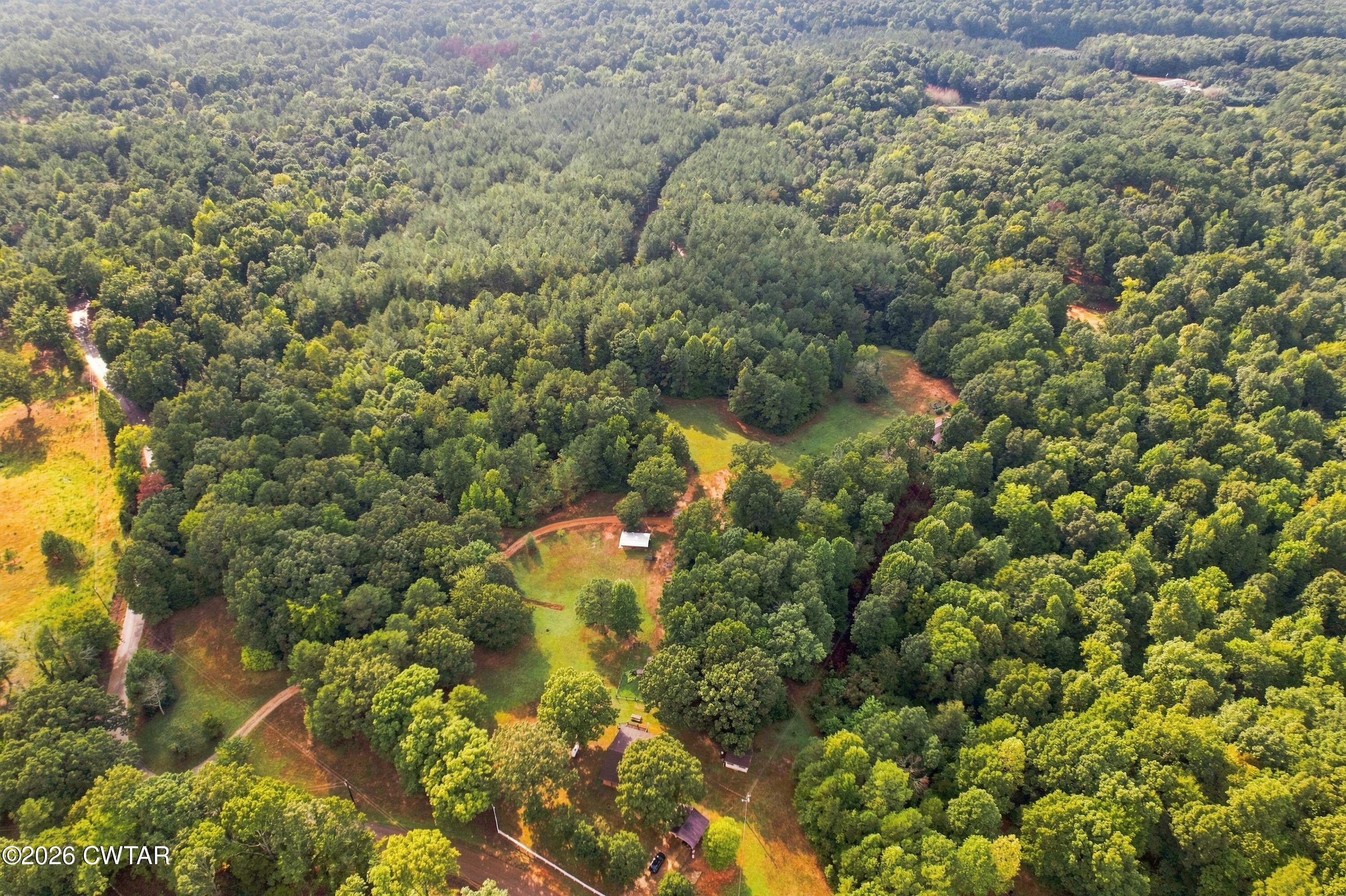 0 Pulliam Road Medon, TN 38356 - Photo 5 of 9 DJI_0788