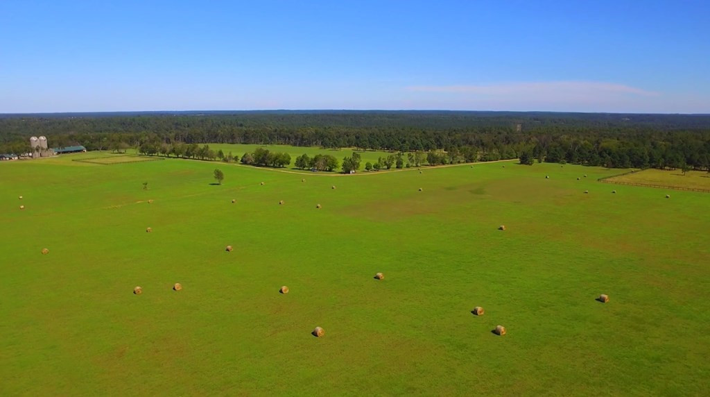 Lot 12 Silos Road Beech Island, SC 29842 - Photo 3 of 4