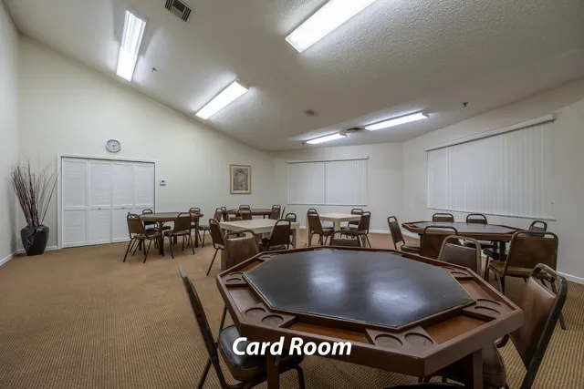 a projector room with furniture a table and chairs