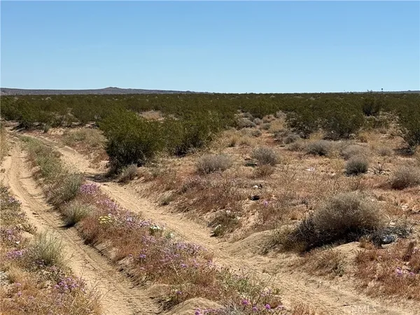 $28,736 | 0 Ca-247 Johnson Valley, Johnson Valley, CA 92285