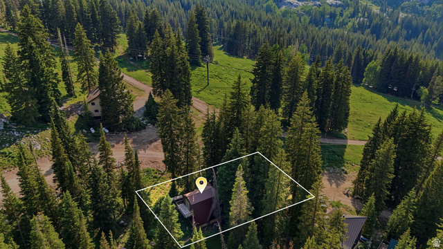 8505 South Snake Crk Road Salt Lake City, UT 84121 - Photo 65 of 67 Aerial perspective of a mountain property surrounded by abundant evergreen trees